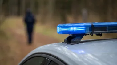 Pumy w okolicach Zagórza Śląskiego nie potwierdzono. Policja bada sprawę