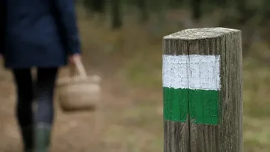 Zgubienie w lesie może skończyć się akcją służb. Policja ostrzega