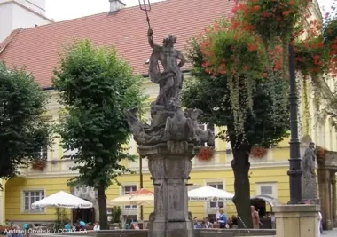 Zaktualizowana baza kontaktów dla osób dotkniętych przemocą domową w powiecie