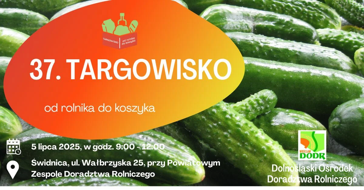 Grafika promocyjna wydarzenia Lipcowa edycja targowiska z lokalnymi produktami w Świdnicy