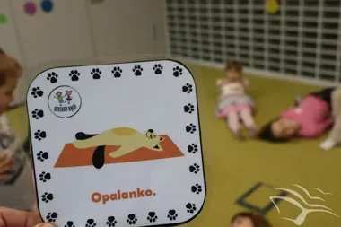 Kociaki, kłębki i sweterki - świdnicka biblioteka szykuje kolejne spotkanie