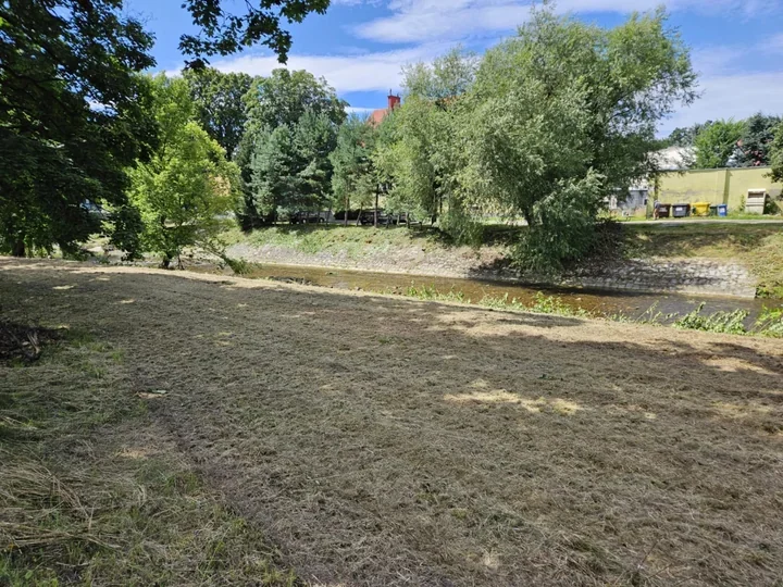 Nie tylko koszenie nad Bystrzycą. Zakres prac obejmie także skarpy i drzewa