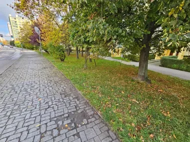 47 nowych miejsc przy szkole. Na Marcinkowskiego zmieni się organizacja ruchu