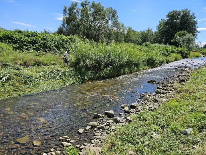 Świdnica wraca nad Bystrzycę z pieniędzmi na brzegi, skarpy i udrożnienie cieków