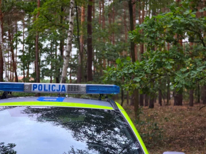 Grzybiarz może zgubić się w kilka chwil. Policja przypomina, co zabrać do lasu