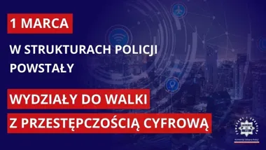 Policja utworzyła wydziały cyberprzestępczości - zmienia sposób ścigania w sieci
