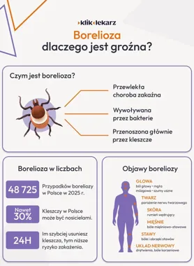 Po ukąszeniu kleszcza liczą się godziny, nie panika